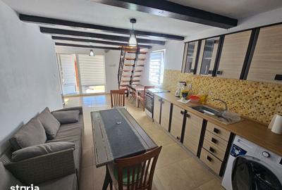 Casă cu 1 camere cu Teren 500 Mp în Prundu Bârgăului - 8