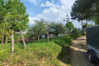 Casă cu Teren 4000 Mp în Hărman - 3