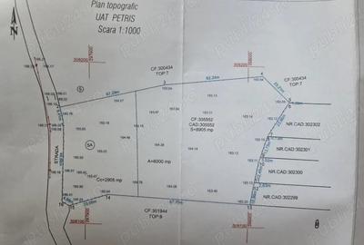 Teren de 8905 mp, în Seliște - 7