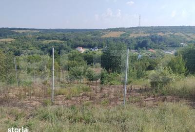 Casă cu 5 camere cu Teren 3400 Mp în Bucovăț - 16