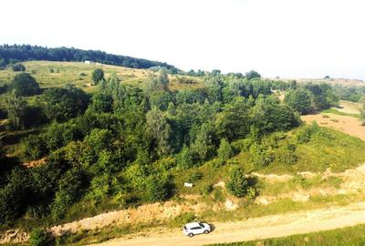 Teren de 1000 mp, în Sălicea - 3
