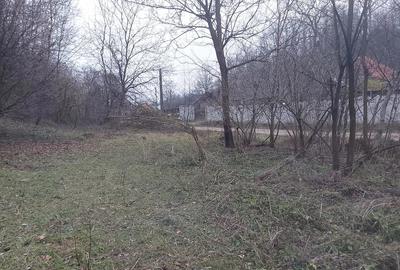 Teren de 8800 mp, în Nojag - 9