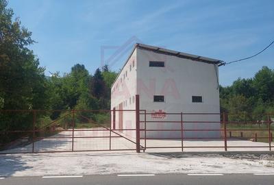 Spațiu industrial, de 150 mp, în Băuțar - 2