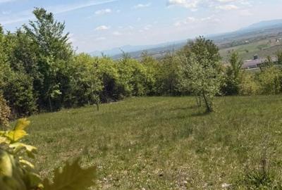 Teren de 1400 mp, în Fărcașa - 4