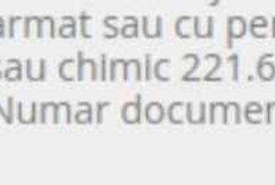 Apartament cu 4 camere decomandat în Central - 4