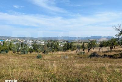 Teren de 1400 mp, în Central
