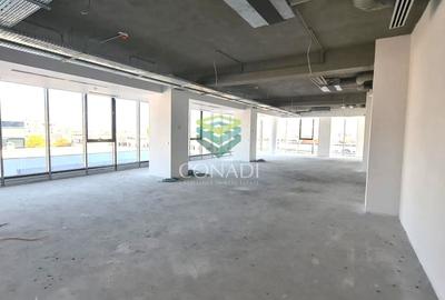 Birou, de 280 mp, în Herăstrău - 1