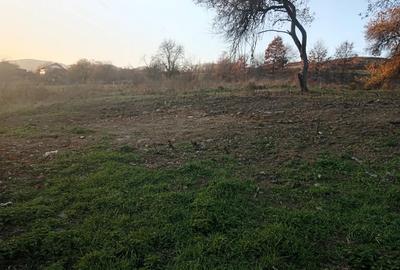 Teren de 5745 mp, în Luncoiu de Jos