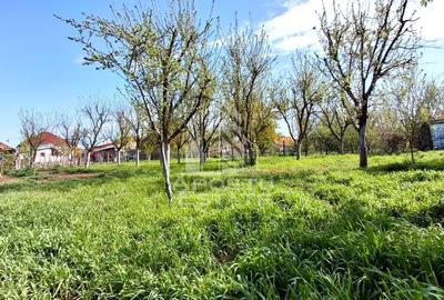 Casă individuală cu 5 camere cu Canalizare în Sud - 44