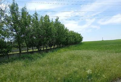 Casă cu 2 camere cu Teren 3500 Mp în Central - 5