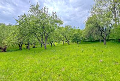 Teren agricol intravilan de 1500 mp, în Bran - 3