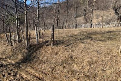 Teren extravilan de 5384 mp, în Nehoiu - 2