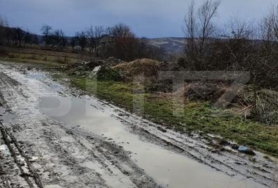 Teren de 770 mp, în Glod
