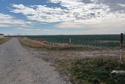 Teren de 13500000 mp, în Central - 1