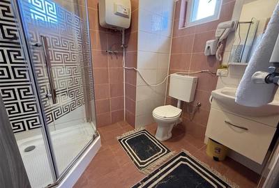 Spațiu comercial, de 1,300 mp, în Ghimeș-Făget - 38