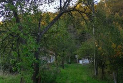 Casă cu 3 camere cu Canalizare în Baia de Aramă - 8