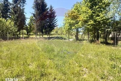 Casă cu 2 camere cu Teren 9035 Mp în Ocna Șugatag - 1
