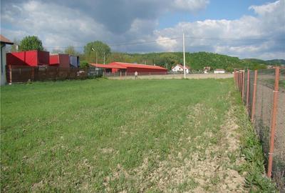 Teren de 4850 mp, în Budești