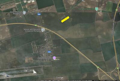 Teren Construcții intravilan de 10000 mp, în Dimieni - 1