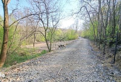 Teren de 868 mp, în Valea Chioarului
