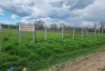 Teren de 150000 mp, în Nord - 1