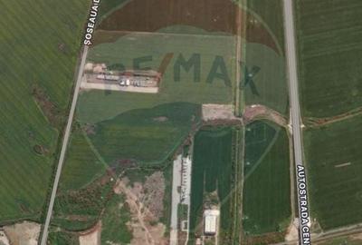 Spațiu industrial, de 1,318 mp, în Jilava - 4