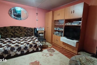 Casă cu 4 camere cu Teren 705 Mp în Copăcel - 8