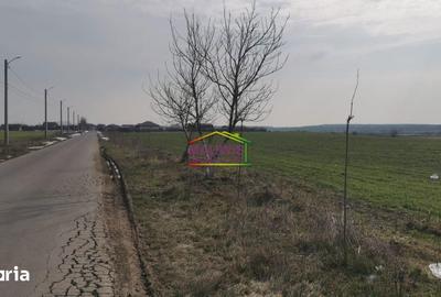 Teren de 7240 mp, în Cernica - 5