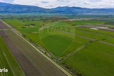 Teren de 4000 mp, în Prejmer - 1