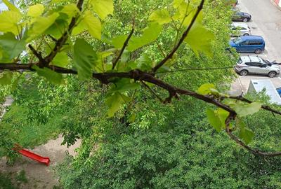 Apartament cu 3 camere decomandat în Central - 9
