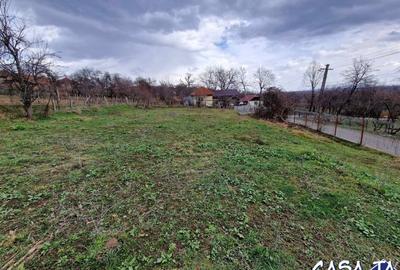 Casă individuală cu 2 camere cu Teren 1543 Mp în Central - 8