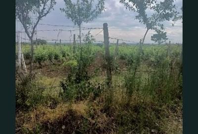 Teren de 1800 mp, în Valea Călugărească - 2