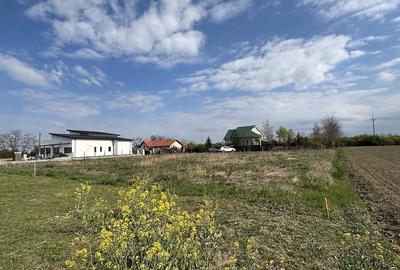 Teren de 700 mp, în Lazuri - 1