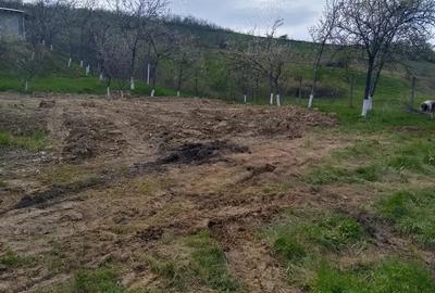 Teren de 700 mp, în Vlădiceni - 6