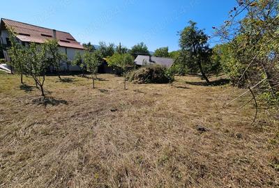 Teren de 1512 mp, în Fedeleșoiu - 9