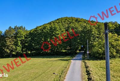 Teren de 16800 mp, în Bățani