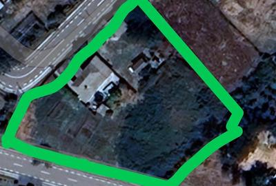 Casă cu 2 camere cu Teren 2500 Mp în Surdila-Greci - 2