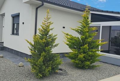 Casă individuală cu 3 camere cu Teren 500 Mp în Exterior Vest - 31
