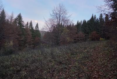 Teren de 1000 mp, în Sucevița