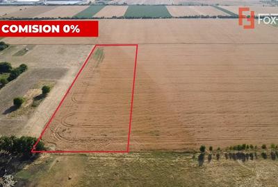 Teren Construcții intravilan de 24700 mp, în Pădureni (Jebel) - 4