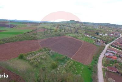 Teren de 10000 mp, în Moldovenești - 1