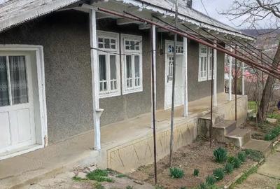 Casă cu Teren 3000 Mp în Moscu