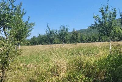 Teren în Prigor - 7