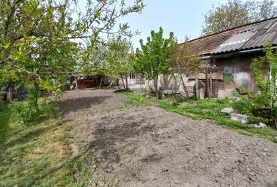 Casă individuală cu 2 camere cu Teren 1100 Mp în Central - 5