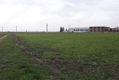 Spațiu comercial, în Cărpiniș - 40