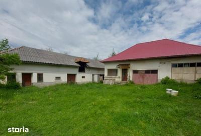 Casă cu 3 camere cu Teren 4000 Mp în Cetățeni - 4