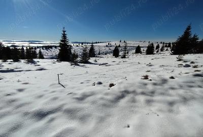 Teren de 2666 mp, în Horea - 3