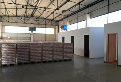 Spațiu industrial, de 680 mp, în Someșeni - 12