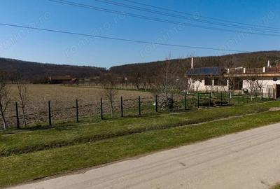 Teren de 2970 mp, în Odvoș - 7