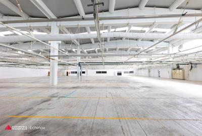 Spațiu industrial, de 2,900 mp, în Sud - 2